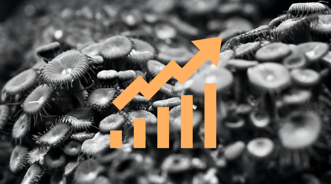 Evolution of microbiology Techniques