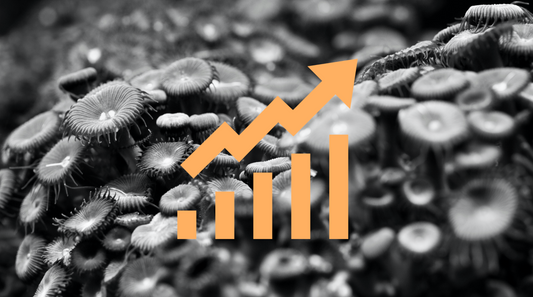 Evolution of microbiology Techniques
