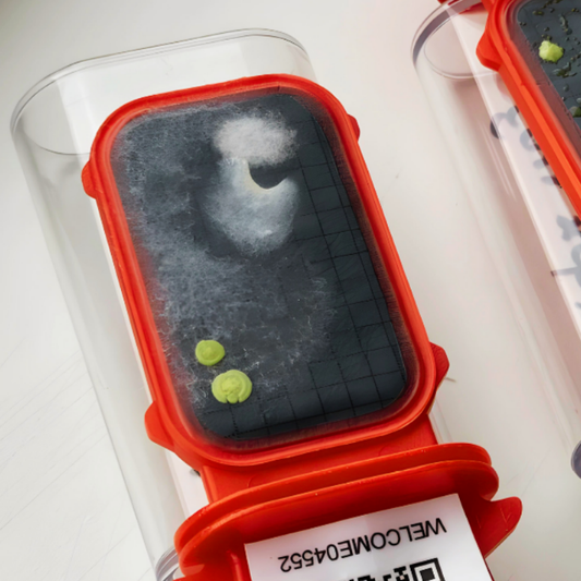nomad IoT Kits for Total Counts HPC on Surfaces, with UDI - Swabs & Testers, 25 ea